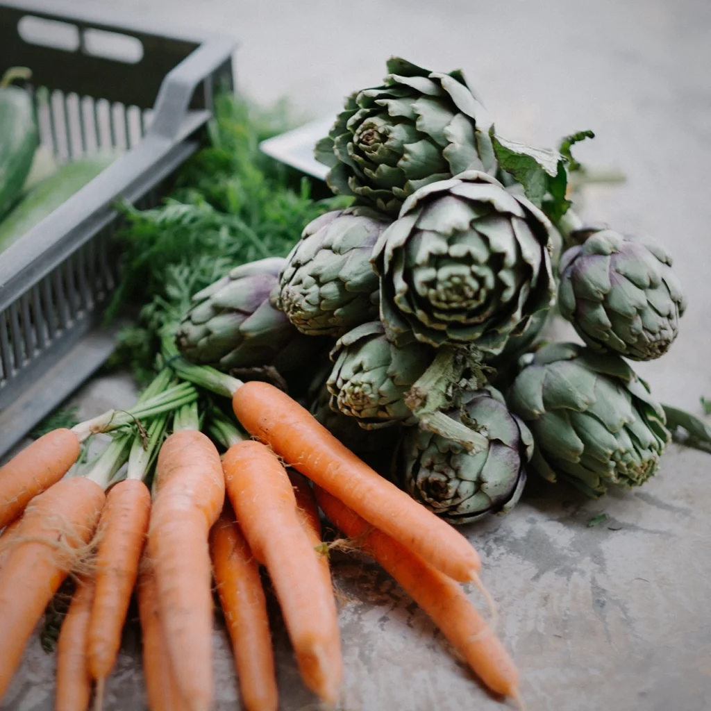 Karotten Gemüse geerntet